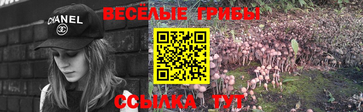 Галлюциногенные грибы Magic Shrooms Семёнов