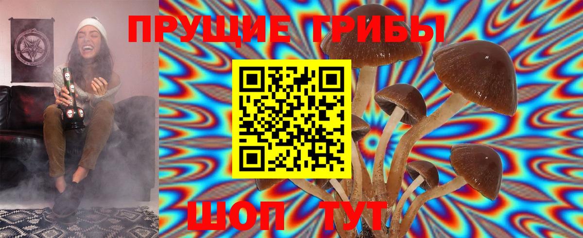 Семёнов  Галлюциногенные грибы Cubensis  Вход с VPN 